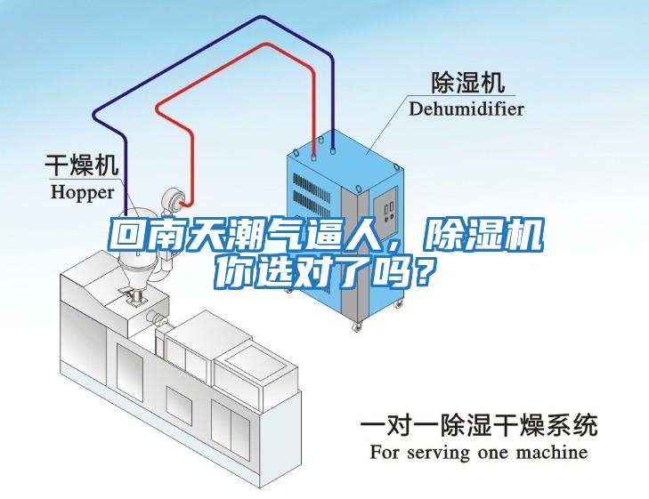 回南天潮氣逼人，除濕機你選對了嗎？