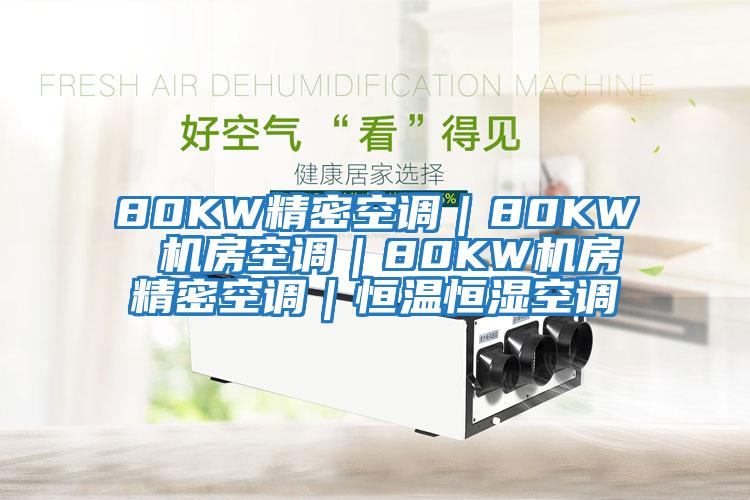 80KW精密空調(diào)｜80KW 機房空調(diào)｜80KW機房精密空調(diào)｜恒溫恒濕空調(diào)