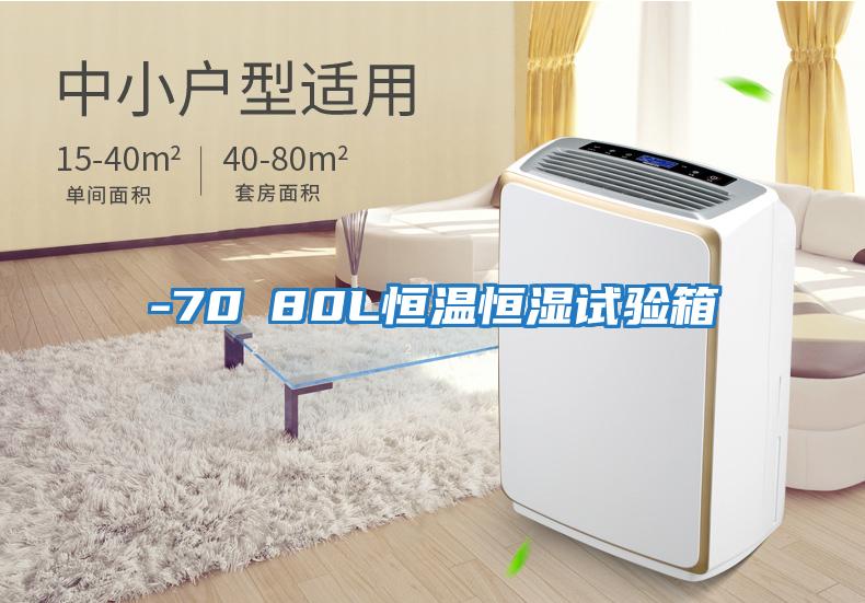 -70℃80L恒溫恒濕試驗(yàn)箱