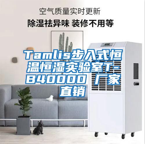 Tamlis步入式恒溫恒濕實驗室T-B40000 廠家直銷