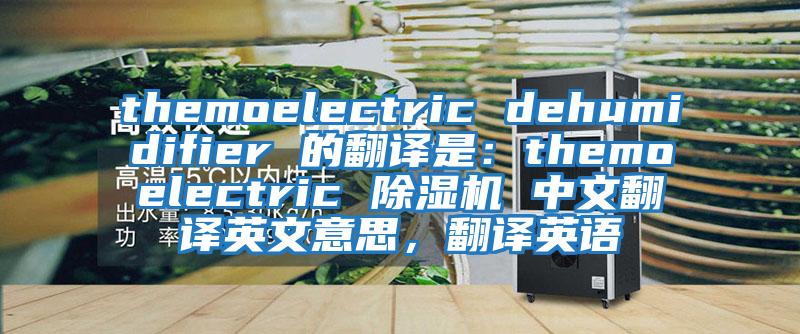 themoelectric dehumidifier 的翻譯是：themoelectric 除濕機 中文翻譯英文意思，翻譯英語