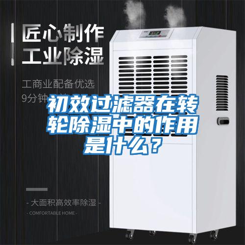 初效過濾器在轉輪除濕中的作用是什么？