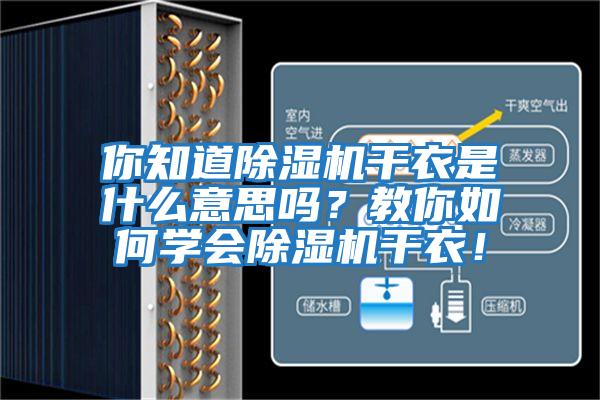 你知道除濕機干衣是什么意思嗎？教你如何學(xué)會除濕機干衣！