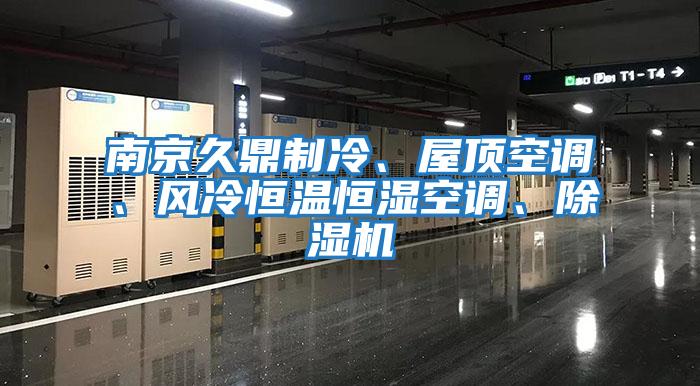 南京久鼎制冷、屋頂空調(diào)、風(fēng)冷恒溫恒濕空調(diào)、除濕機