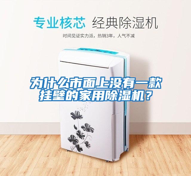 為什么市面上沒有一款掛壁的家用除濕機？