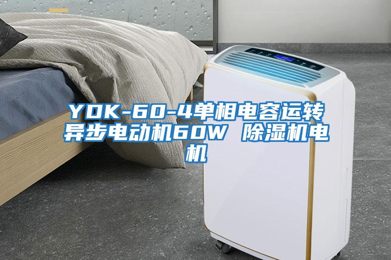 YDK-60-4單相電容運轉(zhuǎn)異步電動機60W 除濕機電機