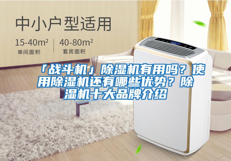 「戰(zhàn)斗機」除濕機有用嗎？使用除濕機還有哪些優(yōu)勢？除濕機十大品牌介紹