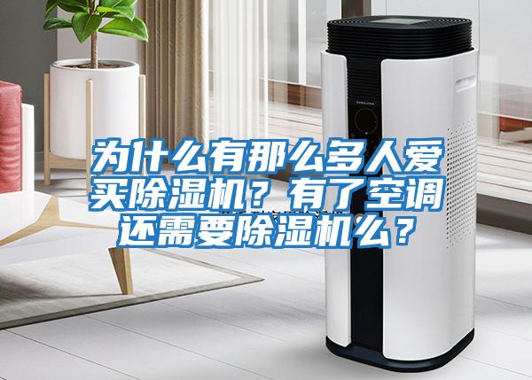 為什么有那么多人愛買除濕機(jī)？有了空調(diào)還需要除濕機(jī)么？