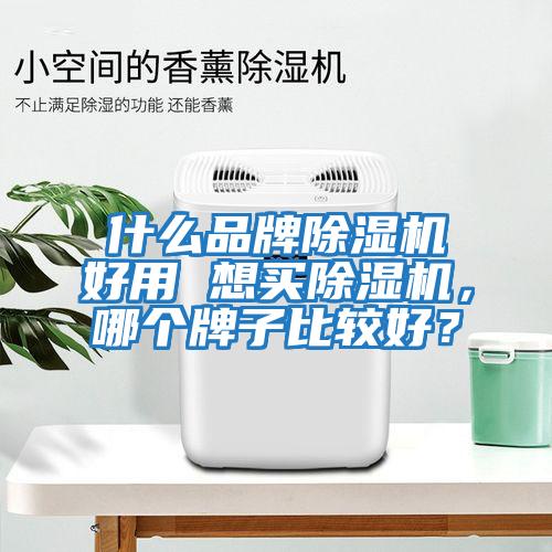 什么品牌除濕機(jī)好用 想買除濕機(jī)，哪個(gè)牌子比較好？