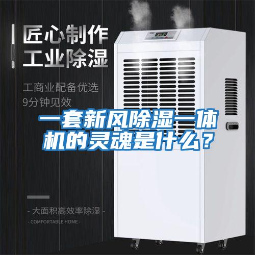 一套新風(fēng)除濕一體機的靈魂是什么？