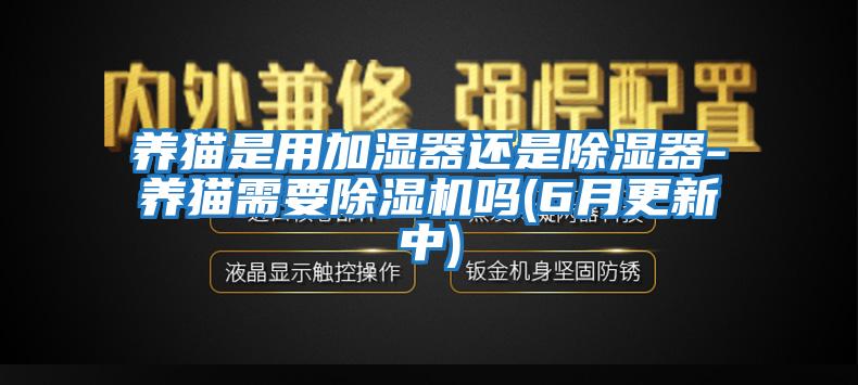 養(yǎng)貓是用加濕器還是除濕器-養(yǎng)貓需要除濕機嗎(6月更新中)