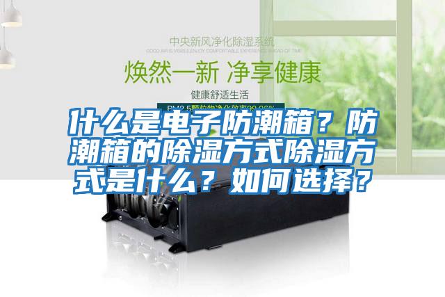 什么是電子防潮箱？防潮箱的除濕方式除濕方式是什么？如何選擇？