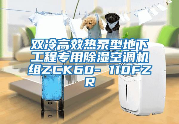 雙冷高效熱泵型地下工程專用除濕空調(diào)機(jī)組ZCK60- 110FZR