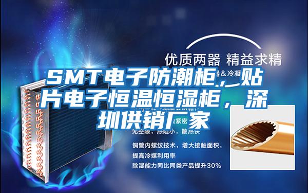 SMT電子防潮柜，貼片電子恒溫恒濕柜，深圳供銷廠家