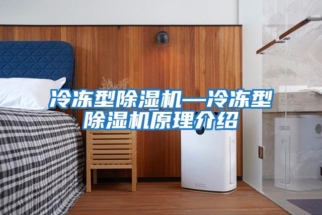 冷凍型除濕機—冷凍型除濕機原理介紹