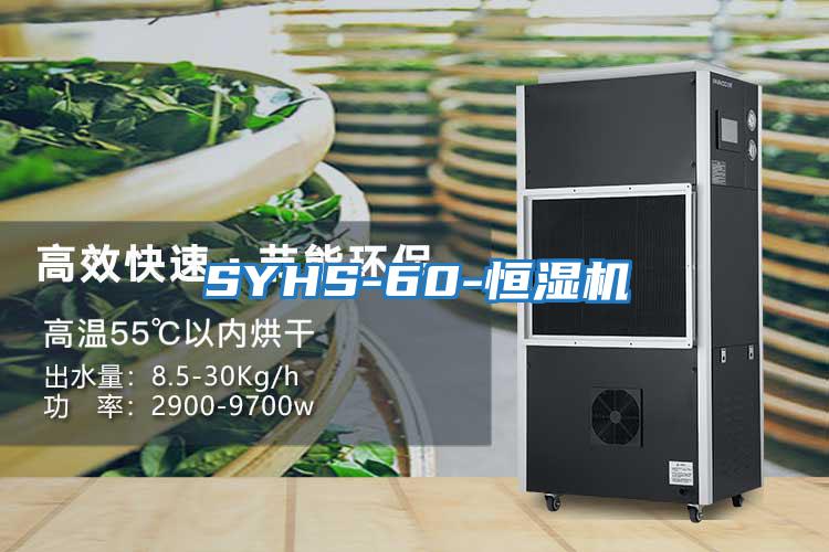 SYHS-60-恒濕機