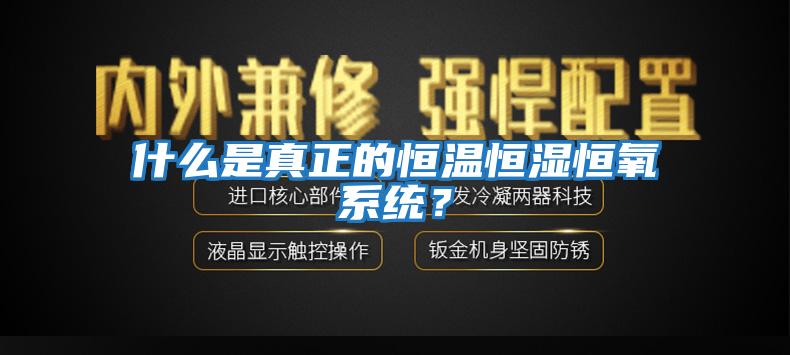 什么是真正的恒溫恒濕恒氧系統(tǒng)？