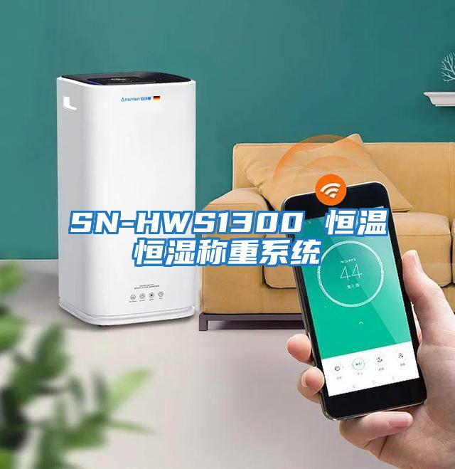 SN-HWS1300 恒溫恒濕稱重系統(tǒng)