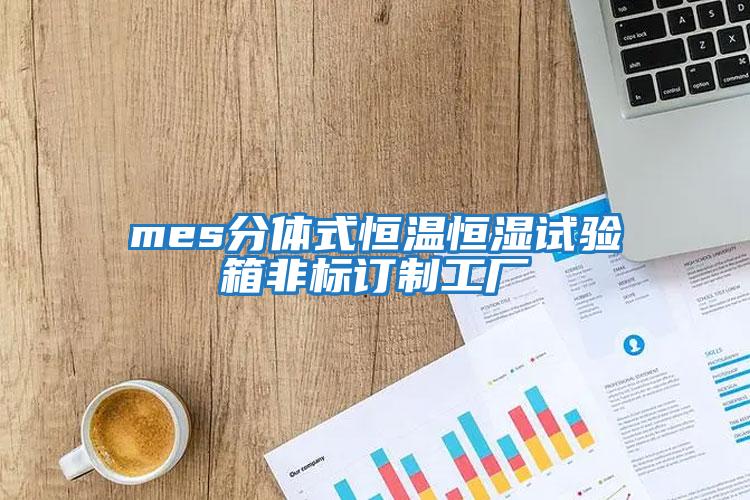 mes分體式恒溫恒濕試驗箱非標訂制工廠