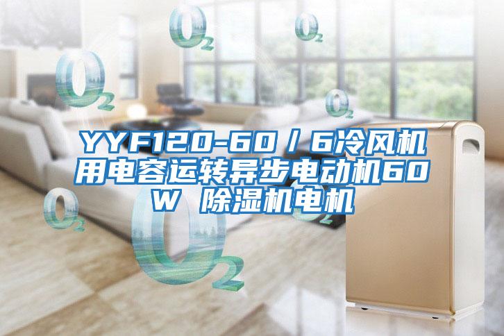 YYF120-60／6冷風(fēng)機(jī)用電容運(yùn)轉(zhuǎn)異步電動(dòng)機(jī)60W 除濕機(jī)電機(jī)