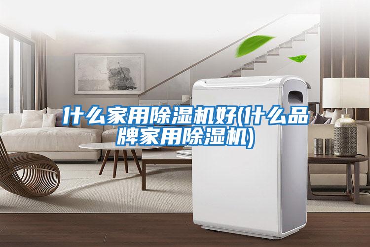 什么家用除濕機好(什么品牌家用除濕機)