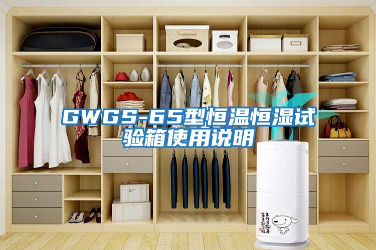 GWGS-65型恒溫恒濕試驗箱使用說明