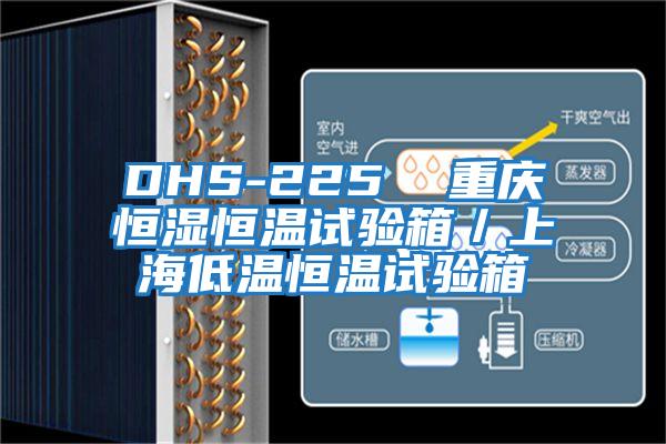 DHS-225  重慶恒濕恒溫試驗(yàn)箱／上海低溫恒溫試驗(yàn)箱