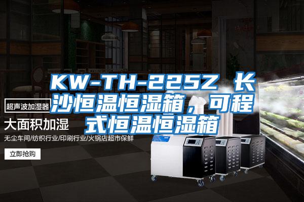 KW-TH-225Z 長沙恒溫恒濕箱，可程式恒溫恒濕箱