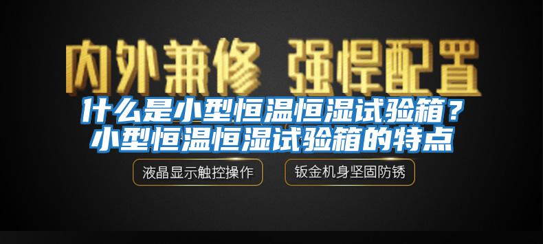 什么是小型恒溫恒濕試驗箱？小型恒溫恒濕試驗箱的特點(diǎn)