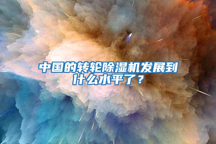 中國的轉(zhuǎn)輪除濕機(jī)發(fā)展到什么水平了？