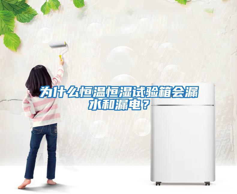 為什么恒溫恒濕試驗箱會漏水和漏電？