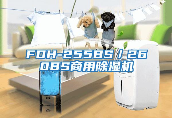 FDH-255BS／260BS商用除濕機