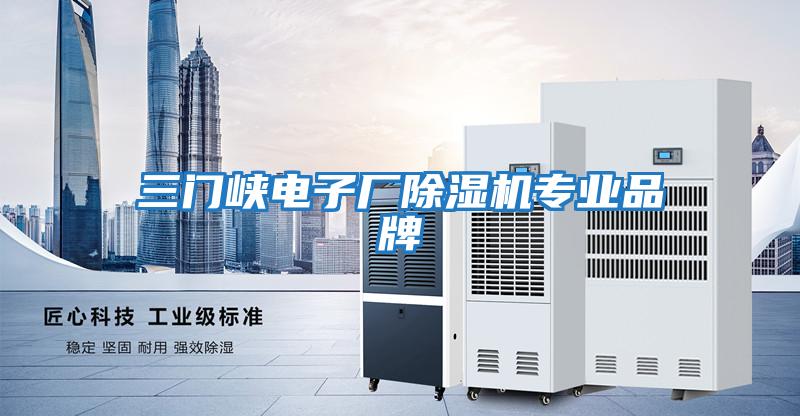 三門峽電子廠除濕機(jī)專業(yè)品牌