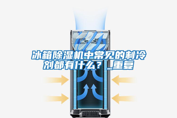 冰箱除濕機中常見的制冷劑都有什么？_重復