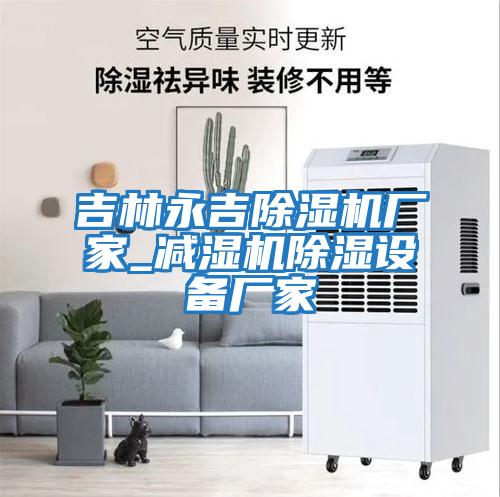 吉林永吉除濕機(jī)廠家_減濕機(jī)除濕設(shè)備廠家