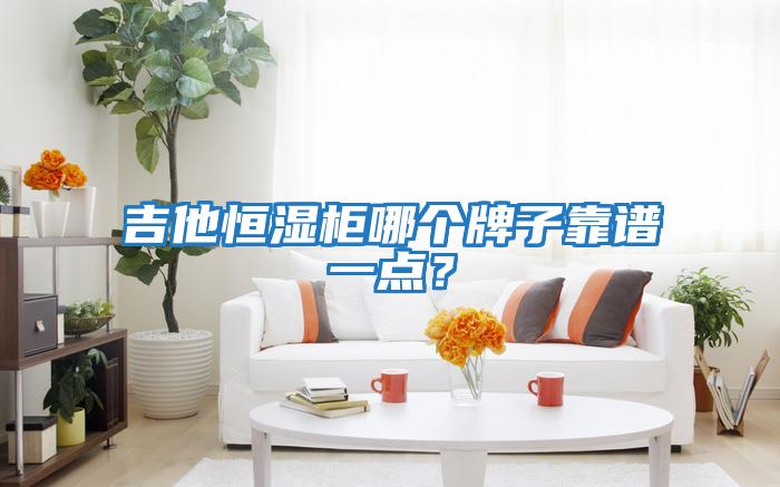 吉他恒濕柜哪個牌子靠譜一點(diǎn)？