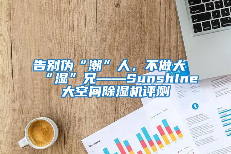 告別偽“潮”人，不做大“濕”兄——Sunshine大空間除濕機(jī)評測