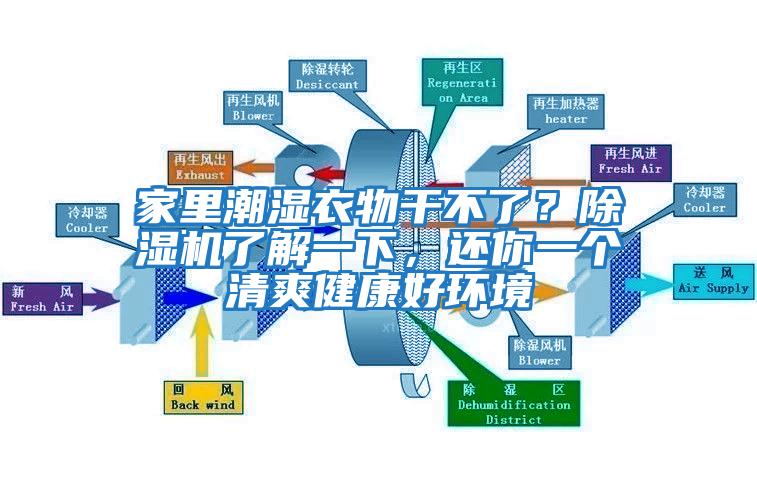 家里潮濕衣物干不了？除濕機(jī)了解一下，還你一個(gè)清爽健康好環(huán)境