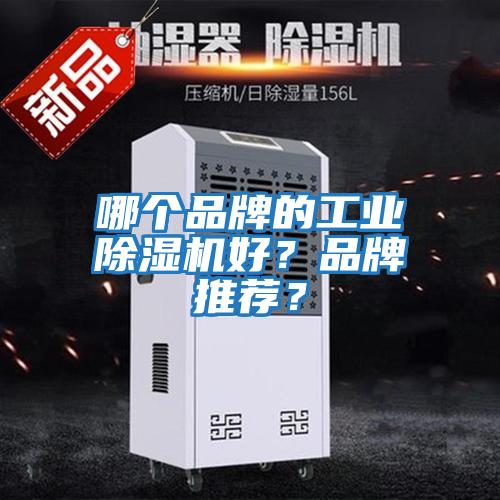 哪個品牌的工業(yè)除濕機好？品牌推薦？