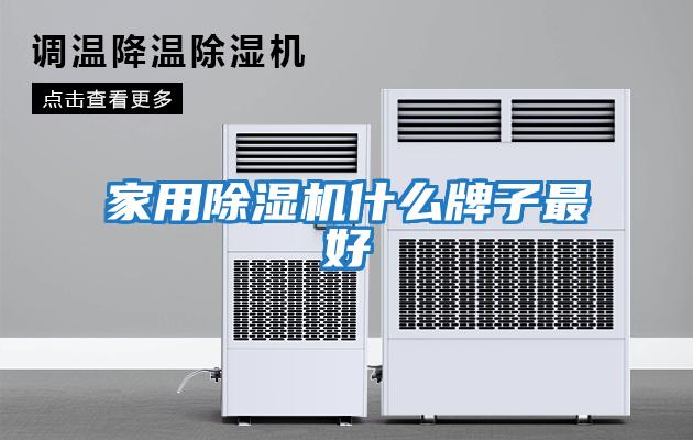 家用除濕機什么牌子最好