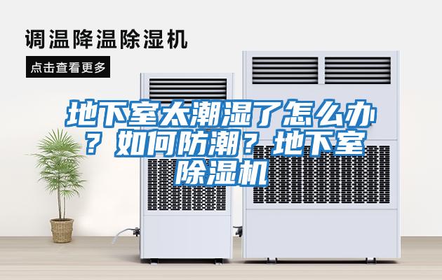 地下室太潮濕了怎么辦？如何防潮？地下室除濕機