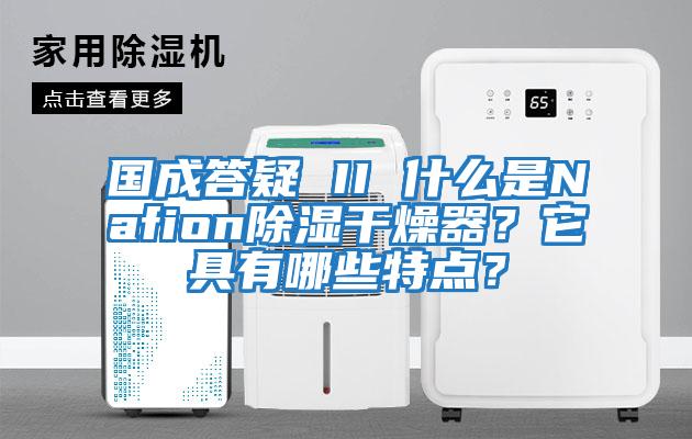 國成答疑 II 什么是Nafion除濕干燥器？它具有哪些特點？