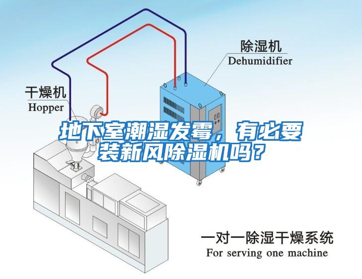 地下室潮濕發(fā)霉，有必要裝新風(fēng)除濕機(jī)嗎？