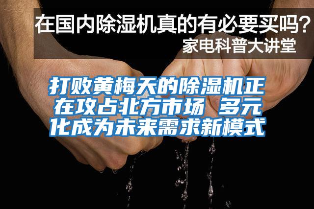 打敗黃梅天的除濕機(jī)正在攻占北方市場 多元化成為未來需求新模式