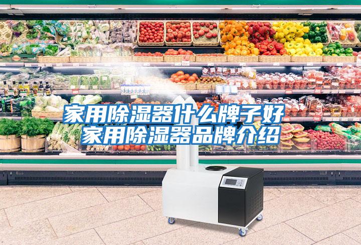 家用除濕器什么牌子好 家用除濕器品牌介紹