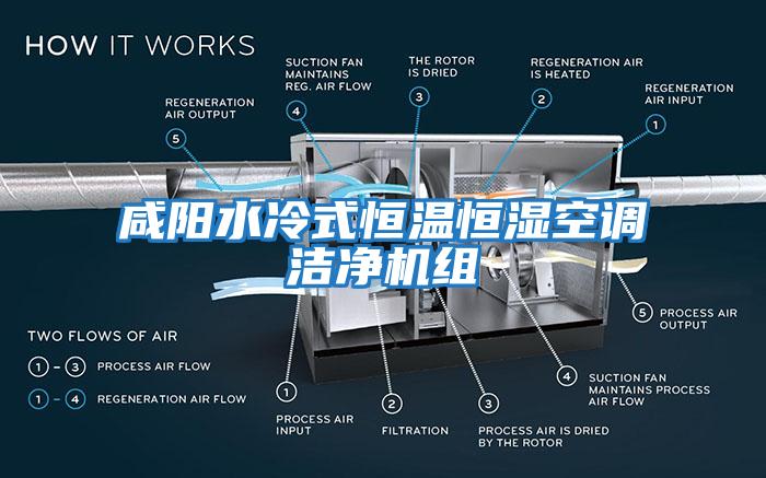 咸陽(yáng)水冷式恒溫恒濕空調(diào)潔凈機(jī)組