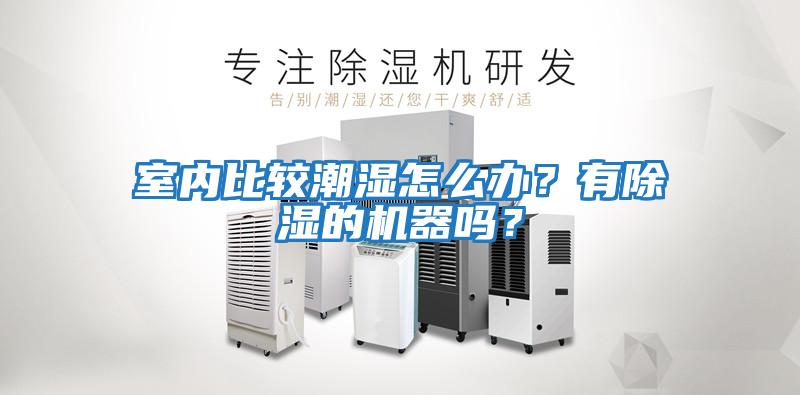 室內(nèi)比較潮濕怎么辦？有除濕的機器嗎？