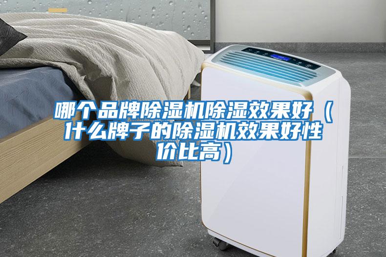 哪個品牌除濕機除濕效果好（什么牌子的除濕機效果好性價比高）