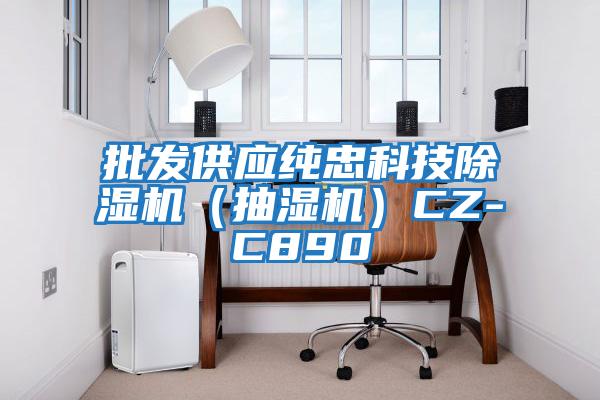 批發(fā)供應(yīng)純忠科技除濕機（抽濕機）CZ-C890