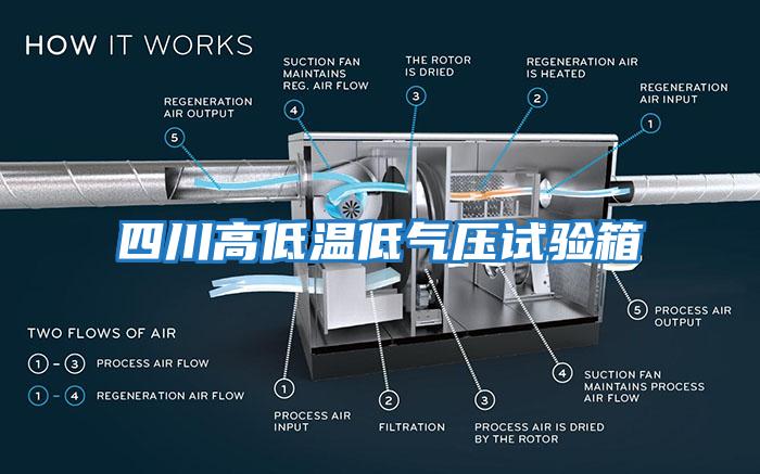 四川高低溫低氣壓試驗箱